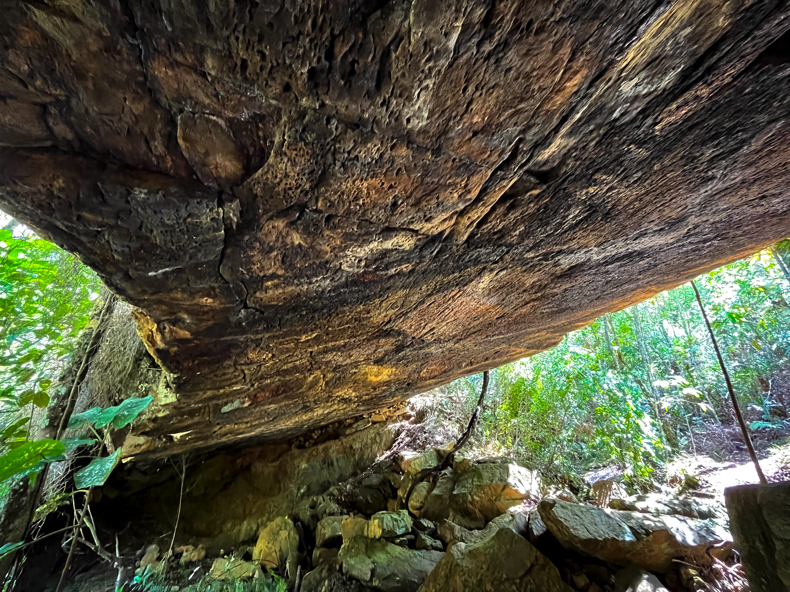 Pasadía Pozolindo & Puente Piedra