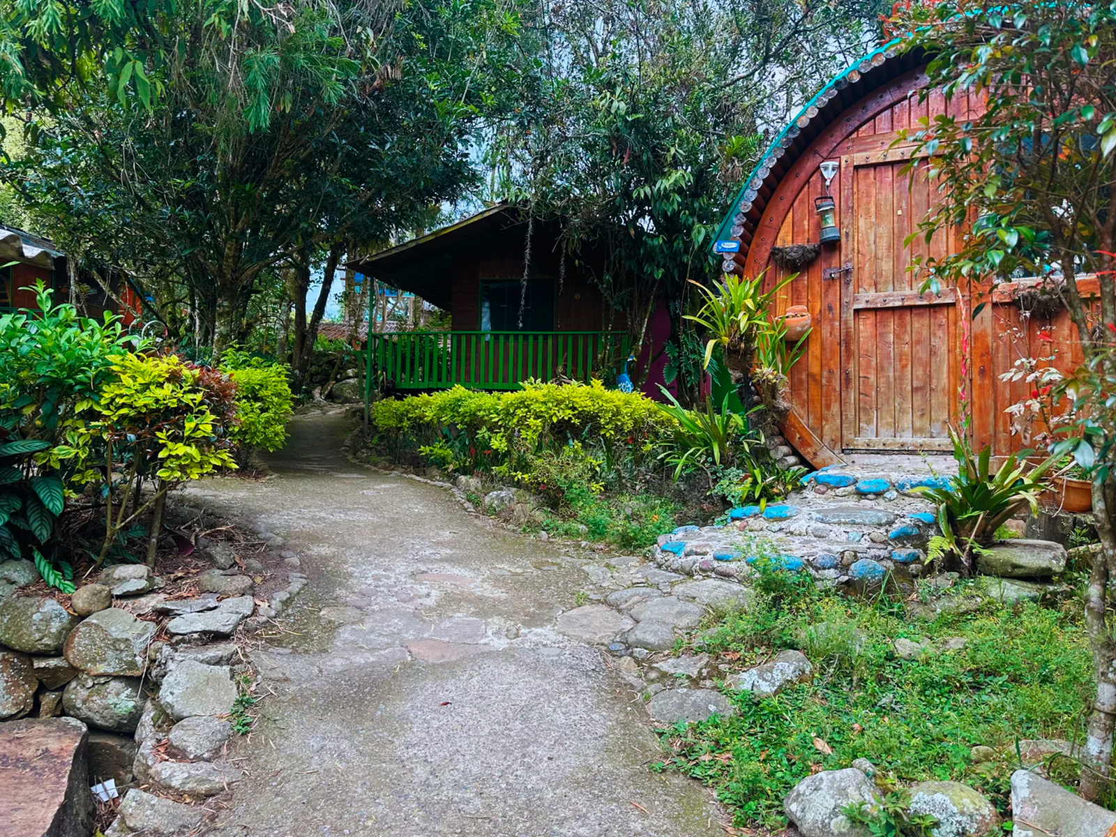 Montaña Viva (2D 1N)